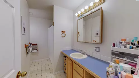 Bath - 760 SW Staley Dr, Pullman, WA 99163 photo 4 of 4