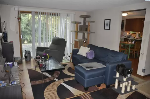 Living - 425 NW North St, Pullman, WA 99163 photo 6 of 7