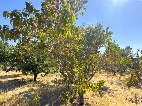 4732 Ringold Rd, Eltopia, WA 99330 photo 43