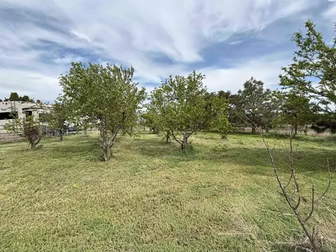 4732 Ringold Rd, Eltopia, WA 99330 photo 46