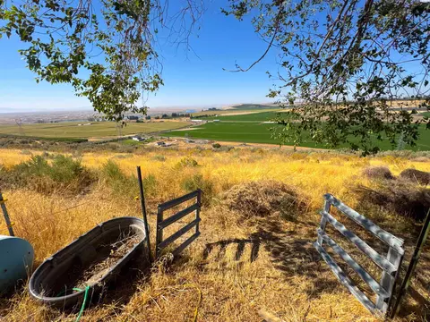 4732 Ringold Rd, Eltopia, WA 99330 photo 7