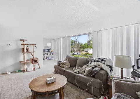 Living - 203-205 NW Ann St, Pullman, WA 99163 photo 6 of 6