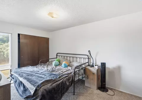Bedroom - 203-205 NW Ann St, Pullman, WA 99163 photo 9 of 12