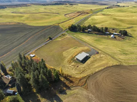 View/Area - 915 Brown Rd, Pullman, WA 99163 photo 4 of 10