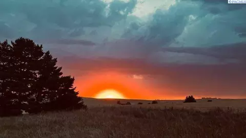 Other - 202 Weber Rd, Pullman, WA 99163 photo 8 of 12