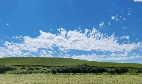 Other - 202 Weber Rd, Pullman, WA 99163 photo 9 of 12