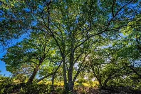 461 Taurus Ln, Harper, TX 76849 photo 15