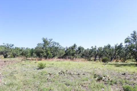 202 Apache Trce, Harper, TX 78631 photo 3
