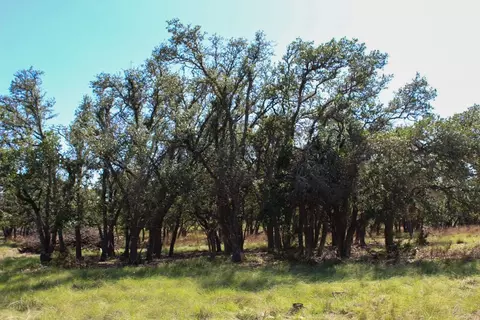 202 Apache Trce, Harper, TX 78631 photo 4