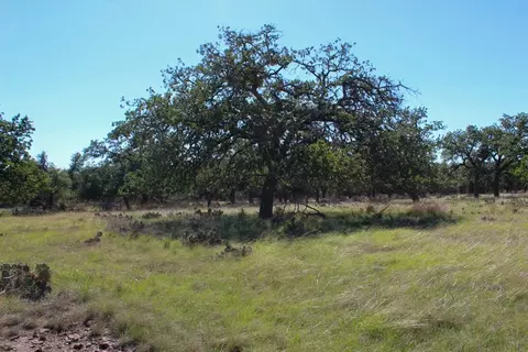 210 Apache Trce, Harper, TX 78631 photo 3