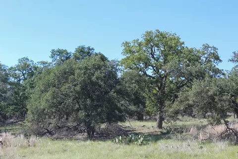 210 Apache Trce, Harper, TX 78631