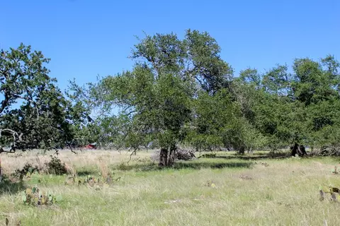 210 Apache Trce, Harper, TX 78631 photo 2