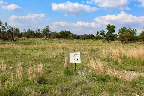 146 Apache Trce, Harper, TX 78631