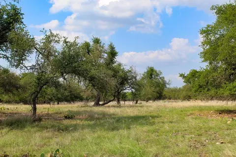 196 Apache Trce, Harper, TX 78631 photo 3