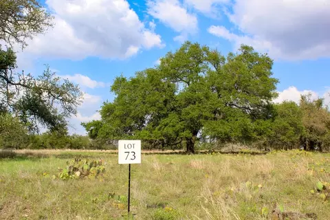 196 Apache Trce, Harper, TX 78631 photo 2
