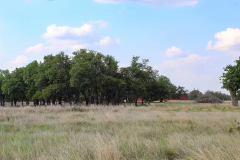 258 Apache Trce, Harper, TX 78631 photo 2