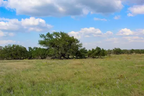 268 Apache Trce, Harper, TX 78631