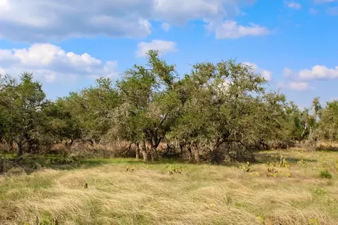 282 Apache Trce, Harper, TX 78631 photo 2