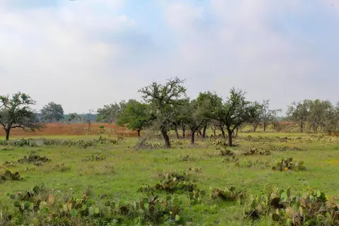 265 Apache Trce, Harper, TX 78631