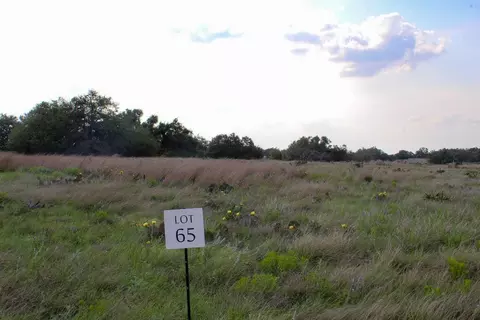 142 Nantan Ln, Harper, TX 78631