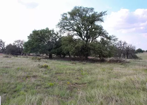 156 Nantan Ln, Harper, TX 78631