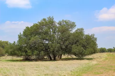 205 Nantan Ln, Harper, TX 78631