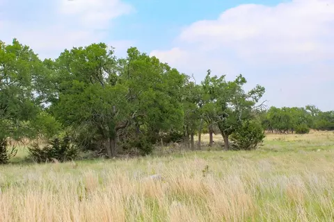 273 Nantan Ln, Harper, TX 78631