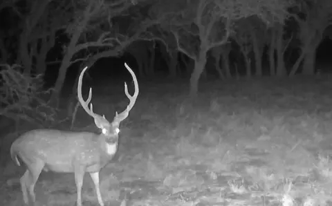 0 Stevens Ranch Rd, Harper, TX 78631 photo 31