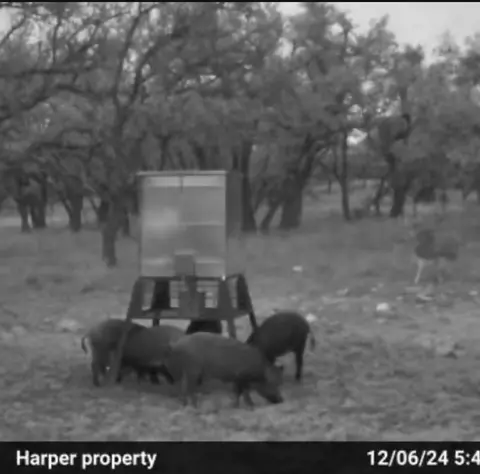 0 Stevens Ranch Rd, Harper, TX 78631 photo 23
