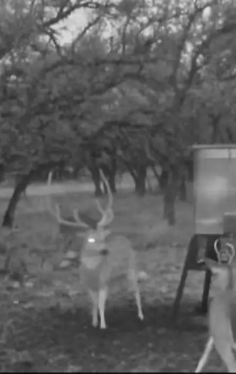 0 Stevens Ranch Rd, Harper, TX 78631 photo 25