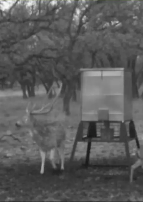 0 Stevens Ranch Rd, Harper, TX 78631 photo 24
