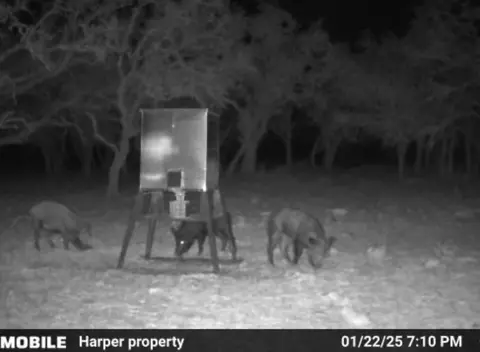 0 Stevens Ranch Rd, Harper, TX 78631 photo 30