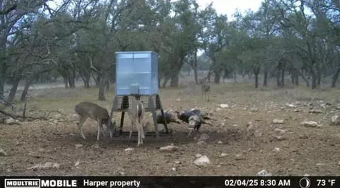 0 Stevens Ranch Rd, Harper, TX 78631 photo 27