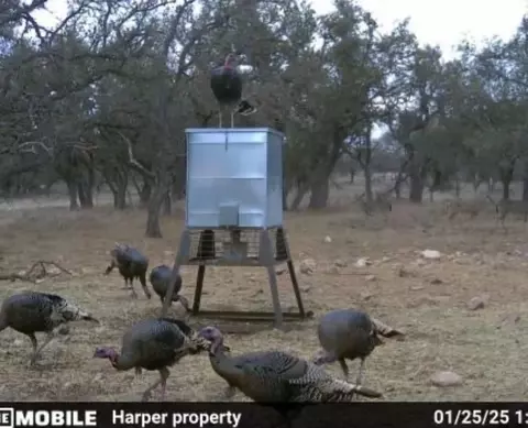0 Stevens Ranch Rd, Harper, TX 78631 photo 29