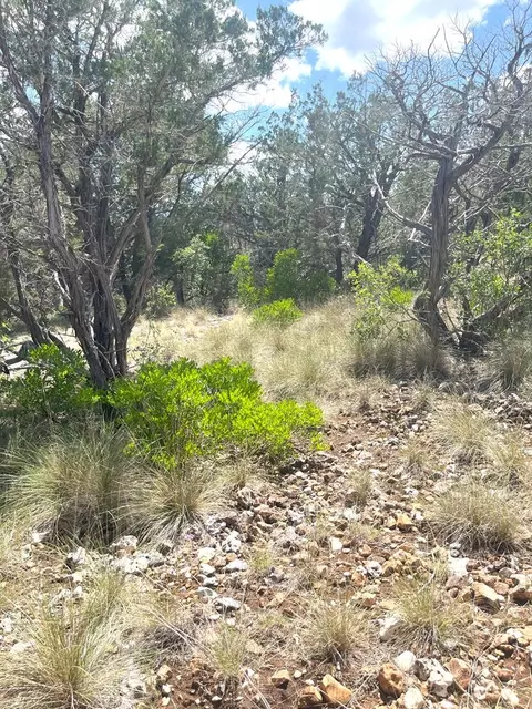 854 Pole Cave Creek Rd, Leakey, TX 78873