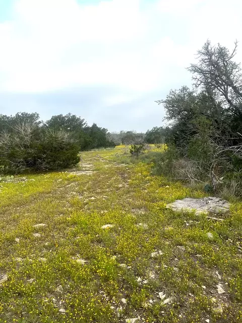 1485 Other, Rocksprings, TX 78880