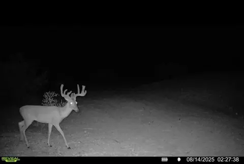 0 J S Murry Ranch Rd, Del Rio, TX 78840