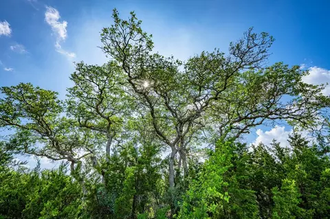 lot33 Spring Blf, Junction, TX 76849 photo 7