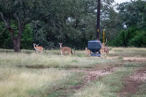 252 El Rincon Rd, Mountain Home, TX 78058
