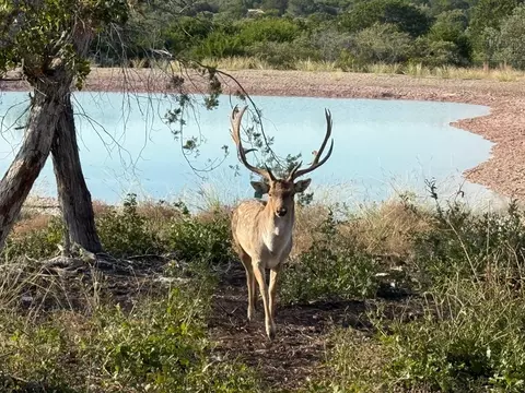 1 El Rincon Rd, Mountain Home, TX 78058