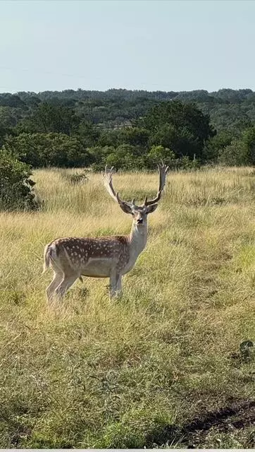 2 El Rincon Rd, Mountain Home, TX 78058