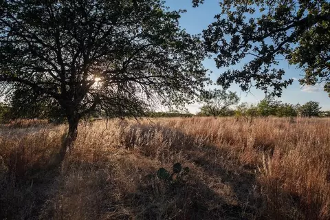 Undisclosed, Fredonia, TX 76842