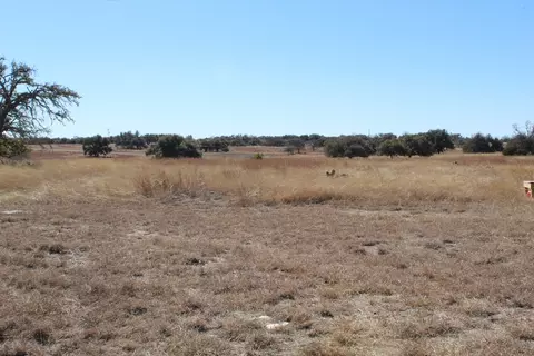 184 Lipan Loop, Harper, TX 78631 photo 5