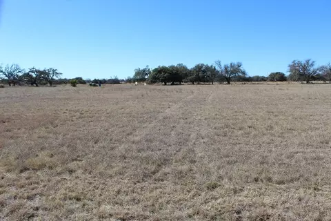184 Lipan Loop, Harper, TX 78631 photo 2