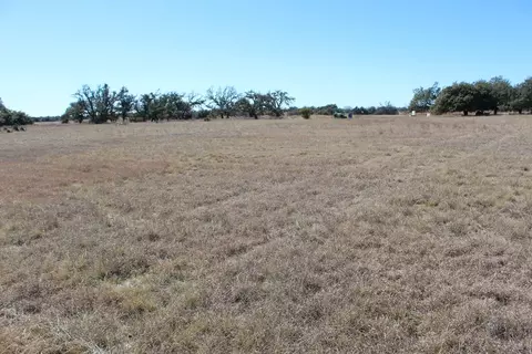 184 Lipan Loop, Harper, TX 78631 photo 3