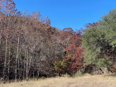 lot134 Shapen Springs Rd, Harper, TX 78631