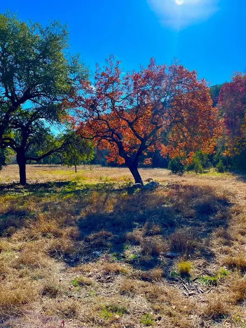 lot135 N Shapen Springs Rd, Harper, TX 78631