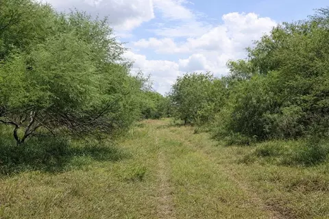 tbd Other, Other, TX 78580 photo 6
