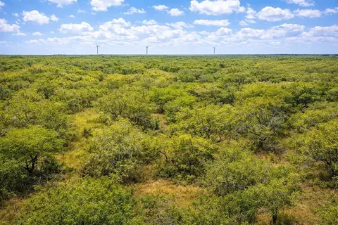 tbd Other, Other, TX 78580 photo 4