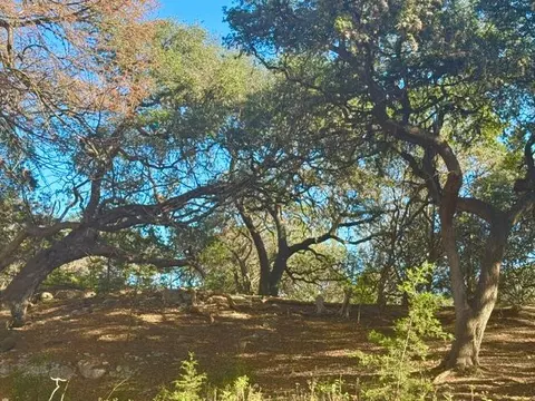 140 Spring Branch Dr, Leakey, TX 78873